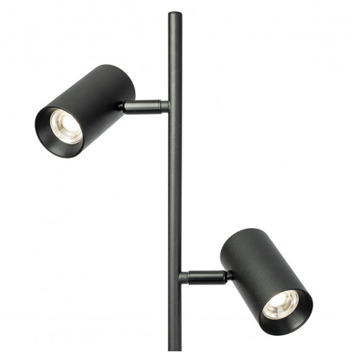 Citilux Twin CL809011N Торшер светодиодный Чёрный