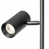 Citilux Twin CL809011N Торшер светодиодный Чёрный