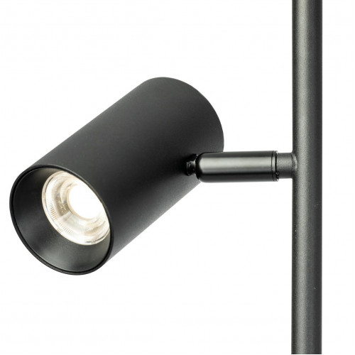 Citilux Twin CL809011N Торшер светодиодный Чёрный