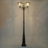 Citilux FORTS CLU10P3 Уличный парковый светильник
