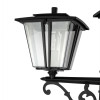 Citilux FORTS CLU10P3 Уличный парковый светильник