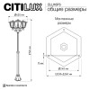 Citilux FORTS CLU10P3 Уличный парковый светильник