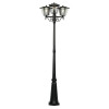 Citilux FORTS CLU10P3 Уличный парковый светильник