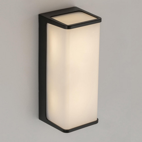 Citilux DOMUS CLU0802 LED Уличный настенный светильник Чёрный