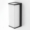 Citilux DOMUS CLU0802 LED Уличный настенный светильник Чёрный
