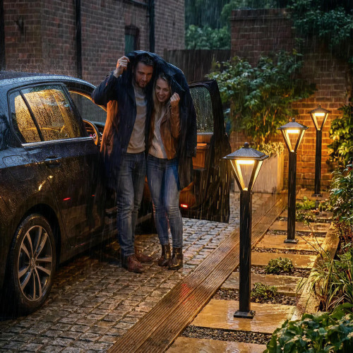 Citilux GENOX CLU12B LED Уличный парковый светильник Чёрный