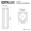Citilux GENOX CLU13B LED Уличный парковый светильник Чёрный