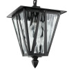 Citilux FORTS CLU09S Уличный подвесной светильник