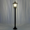 Citilux FORTS CLU09B Уличный парковый светильник