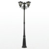 Citilux FORTS CLU09P3 Уличный парковый светильник
