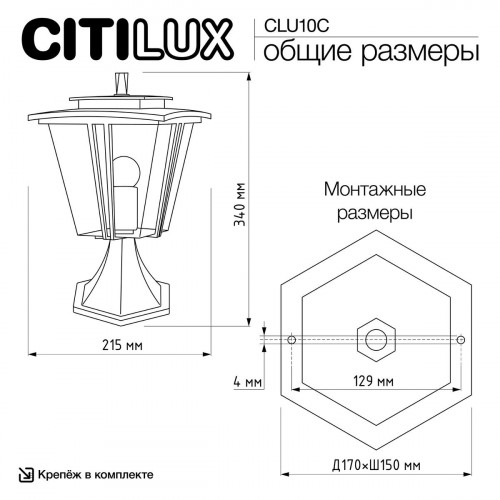 Citilux FORTS CLU10С Уличный парковый светильник