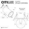 Citilux AXEL CL512D12 Спот поворотный встраиваемый Латунь