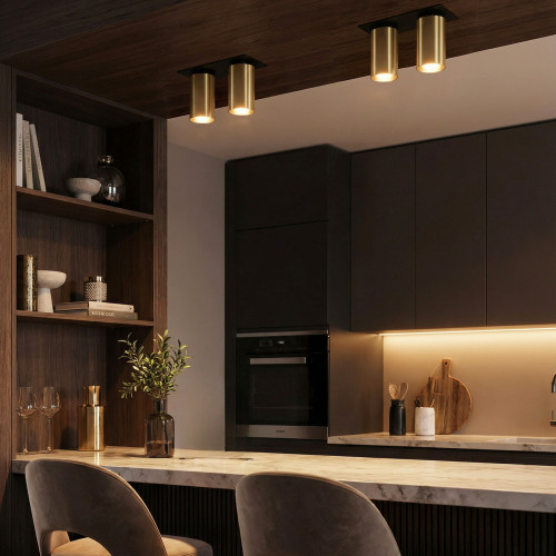 Citilux AXEL CL512D22 Спот поворотный встраиваемый двойной Латунь