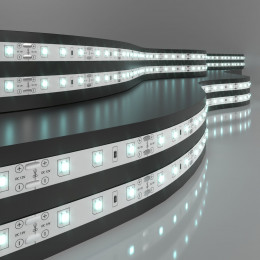 Комплект светодиодной ленты 12 В 4,8 Вт/м 60 Led/м 2835 IP20, холодный белый свет 6500К, 5 м Набор светодиодной ленты 12V 4,8W 60Led 2835 IP20 холодный белый, 5м Elektrostandard