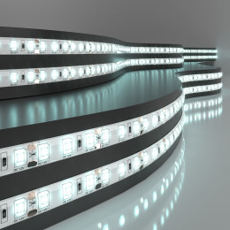Светодиодная лента 12 В 9,6 Вт/м 120 Led/м 2835 IP65, холодный белый 6500K, 5 м Лента светодиодная 12V 9,6W 120Led 2835 IP65 холодный белый, 5м Elektrostandard