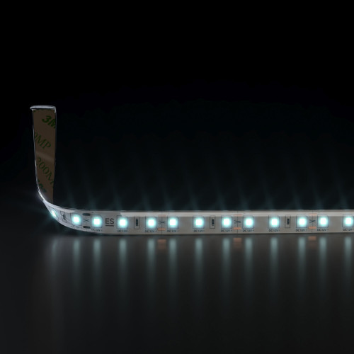 Светодиодная лента 12 В 9,6 Вт/м 120 Led/м 2835 IP65, холодный белый 6500K, 5 м Лента светодиодная 12V 9,6W 120Led 2835 IP65 холодный белый, 5м Elektrostandard