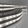 Светодиодная лента 12 В 4,8 Вт/м 60 Led/м 2835 IP65, дневной белый 4200К, 5 м Лента светодиодная 12V 4,8W 60Led 2835 IP65 дневной белый, 5м Elektrostandard