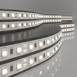 Светодиодная лента 12 В 14,4 Вт/м 60 Led/м 5050 IP20, дневной белый 4200 K, 5 м Лента светодиодная 12V 14,4W 60Led 5050 IP20 дневной белый, 5м Elektrostandard