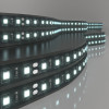 Светодиодная лента 24 В 14,4 Вт/м 60 Led/м 5050 IP20, холодный белый 6500K, Black, 5 м Лента светодиодная 24V 14,4W 60Led 5050 IP20 холодный белый, Black, 5м Elektrostandard