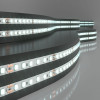 Светодиодная лента 24 В 8 Вт/м 120Led/м 2116 IP20, холодный белый 6500K, 5 м 2116 24V 120Led 8W IP20 Elektrostandard