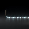Светодиодная лента 24 В 8 Вт/м 120Led/м 2116 IP20, холодный белый 6500K, 5 м 2116 24V 120Led 8W IP20 Elektrostandard