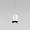 Подвесной светодиодный светильник 50243 LED Elektrostandard