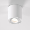 Накладной потолочный светильник 25041/LED Elektrostandard