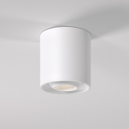 Накладной потолочный светильник 25041/LED Elektrostandard