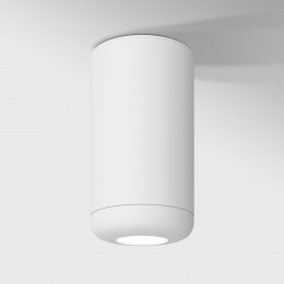 Светильник потолочный светодиодный 10W 4000K белый 25044/LED Elektrostandard