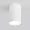 Уличный потолочный светильник Light IP65 35128/H белый Elektrostandard