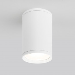 Уличный потолочный светильник Light IP65 35128/H белый Elektrostandard