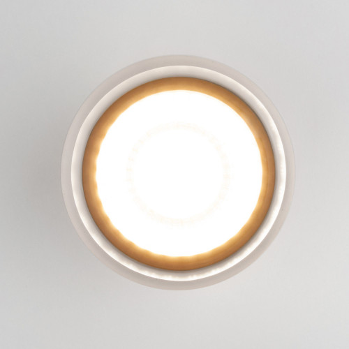 Уличный потолочный светильник Light LED 2107 IP54 35140/H серый Elektrostandard