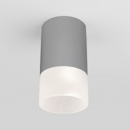 Уличный потолочный светильник Light LED 2106 IP54 35139/H серый Elektrostandard