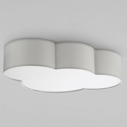 Потолочный светильник 3145 TK Lighting