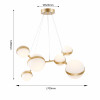 4448-6P, подвесная люстра, D700xH1100/1350, LEDx42W, 4610LM, 4000K, included Favourite