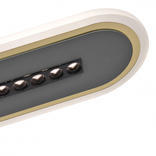 4472-3P, подвесная люстра, L800xW115xH1000/1600, LEDx63W, 4600LM, 3000-6500K, included, remote control Favourite