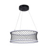 4436-2P, подвесная люстра, D460xH300/1200, LEDx40W, 4300LM, 3000-6000K, included, remote control Favourite