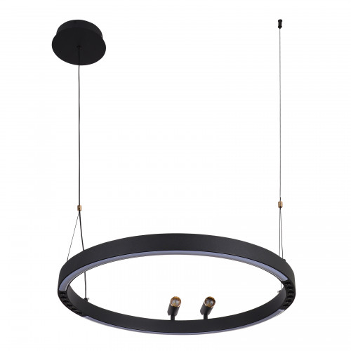 4474-1P, подвесная люстра, D600xH1000/1800, LEDx58W + 2xLEDx3W, 1860LM, 3000-6500K, included, remote control Favourite