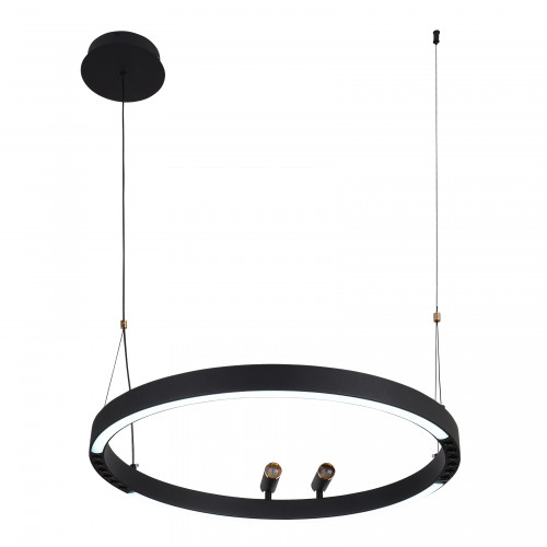 4474-1P, подвесная люстра, D600xH1000/1800, LEDx58W + 2xLEDx3W, 1860LM, 3000-6500K, included, remote control Favourite