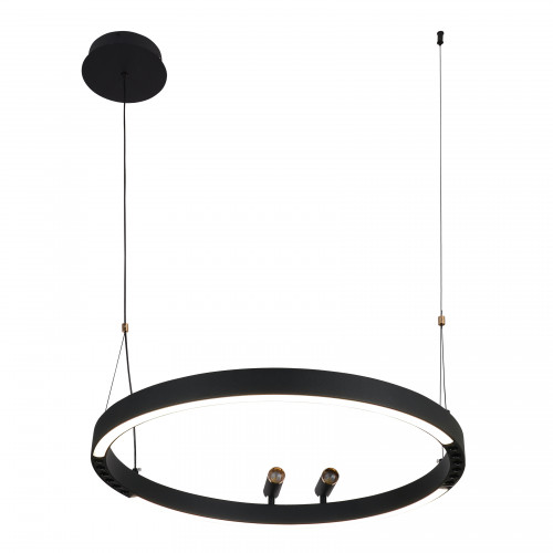 4474-1P, подвесная люстра, D600xH1000/1800, LEDx58W + 2xLEDx3W, 1860LM, 3000-6500K, included, remote control Favourite
