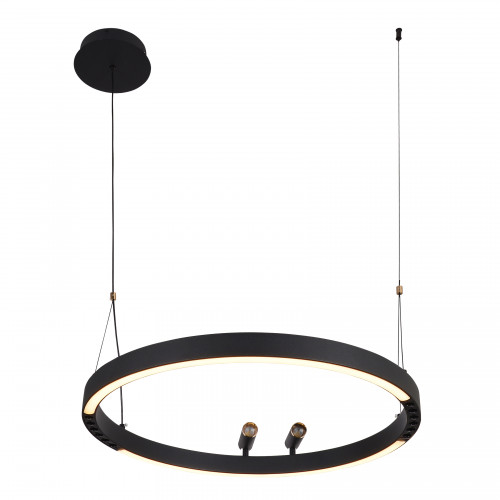 4474-1P, подвесная люстра, D600xH1000/1800, LEDx58W + 2xLEDx3W, 1860LM, 3000-6500K, included, remote control Favourite