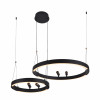 4474-2P, подвесная люстра, D830xH1000/1800, LEDx53W + LEDx33W + 4xLEDx3W, 2075LM, 3000-6500K, included, remote control Favourite