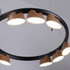 4266-21P, подвесная люстра, L875xW600xH400/1610, LEDx95W, 4085LM, 4000K, included Favourite