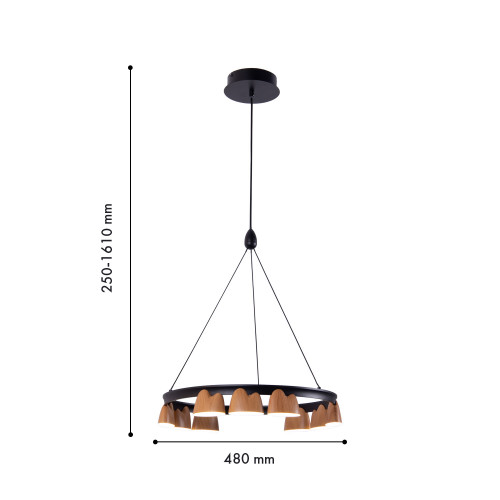 4266-9P, подвесная люстра, D480xH250/1610, LEDx40W, 1720LM, 4000K, included Favourite