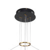 3097-8P, подвесная люстра, D800xH600/1000, LEDx48W + 7xLEDx3W, 4690LM, 4000K, included Favourite