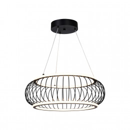 4435-2P, подвесная люстра, D500xH300/1200, LEDx40W, 4300LM, 3000-6000K, included, remote control Favourite