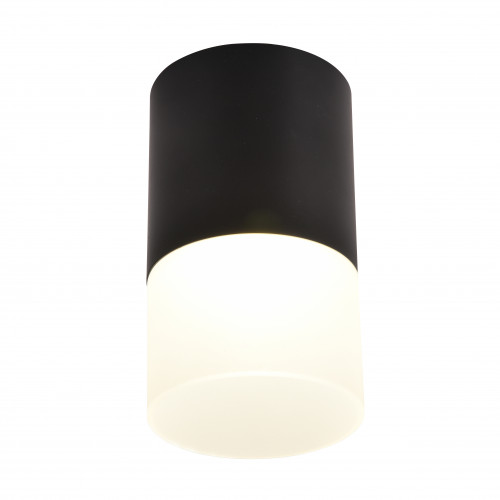 3070-1C, потолочный светильник, D64xH110, LEDx5W, 400LM, 4000K, IP20, included Favourite