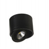 1779-1C, потолочный светильник, D112xH85, 1xLEDx12W, AC:100-240V, 960LM, RA>80, IP21, 960LM, 4000K, included Favourite