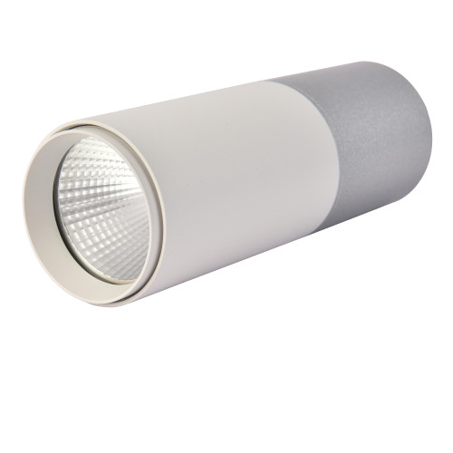 3071-1C, потолочный светильник, D50xH139, LEDx5W, 350LM, 4000K, IP20, included Favourite