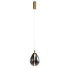 4255-2P, подвес, D220xH490/1990, LEDx4.3W, 520LM, 4000K, included Favourite